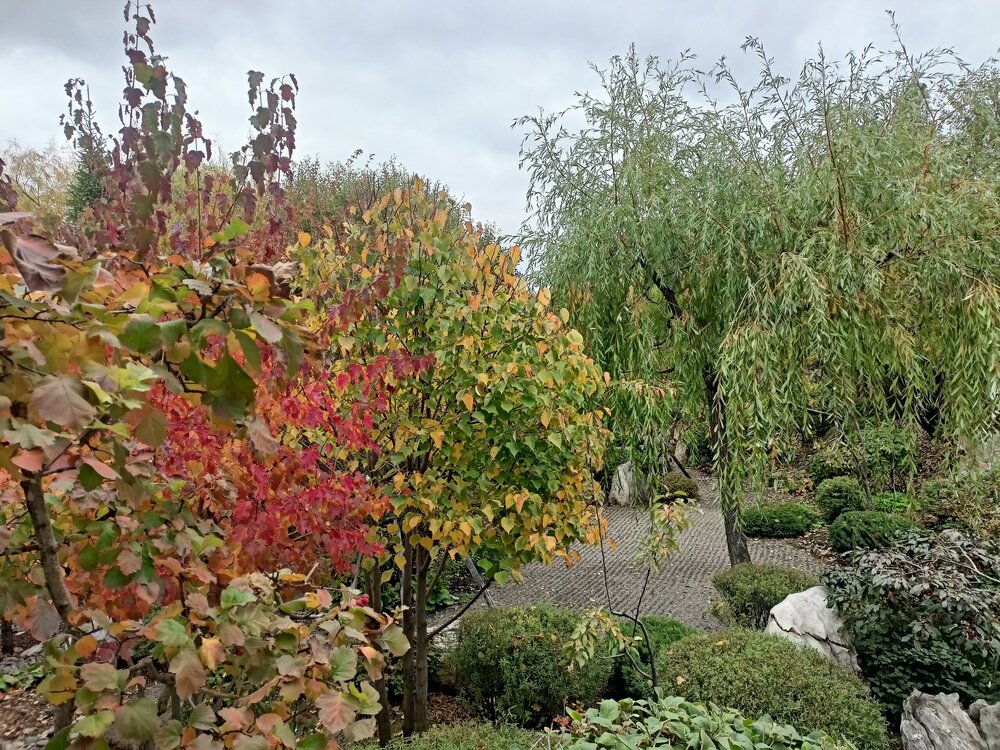 IMG20250927144203.jpg