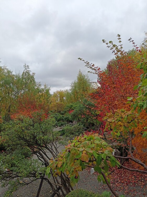 IMG20250927144531.jpg