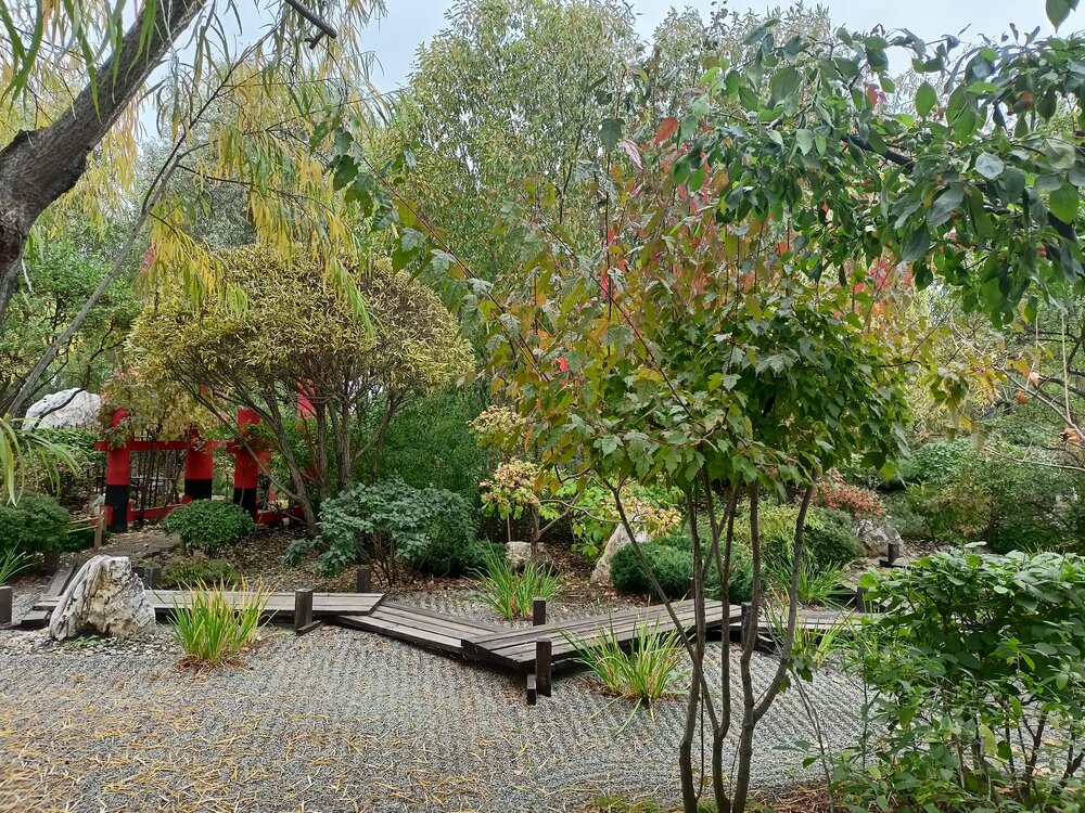 IMG20250927144955.jpg