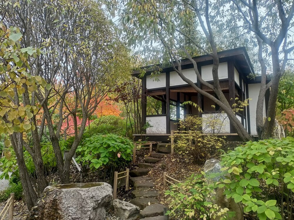 IMG20250927145649.jpg