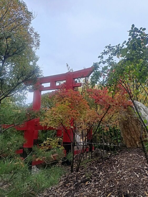IMG20250927150142.jpg