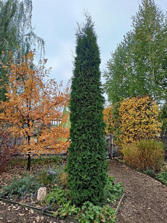 IMG20250927150313.jpg