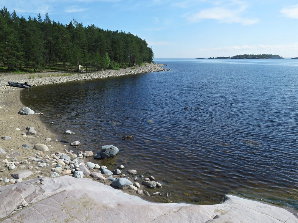 IMG_0020.JPG