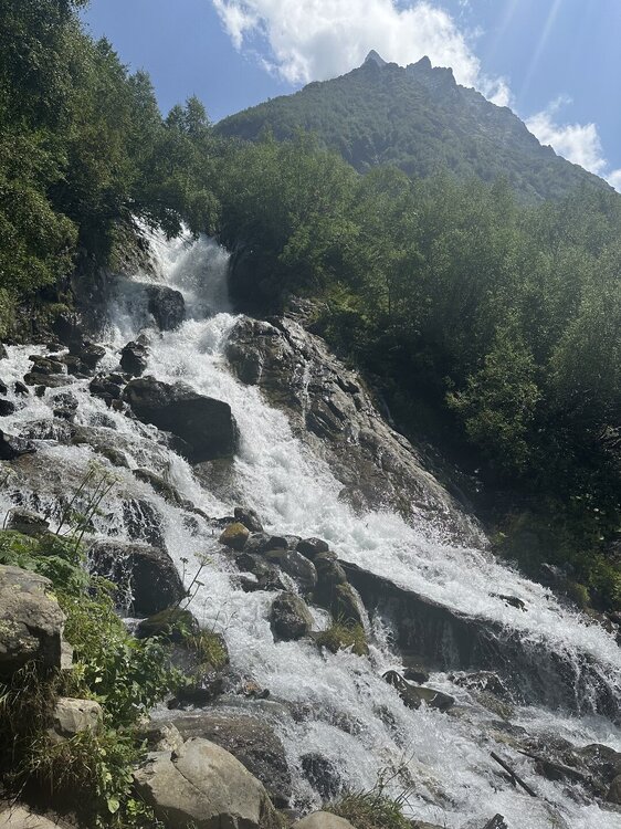 IMG_0847.jpeg
