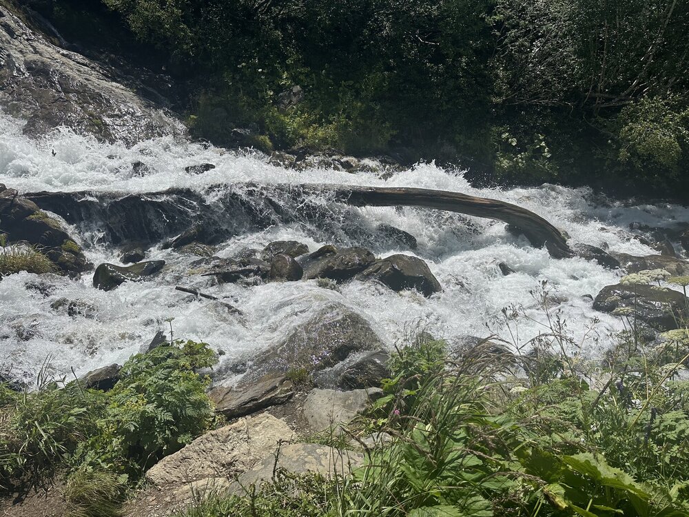 IMG_0860.jpeg