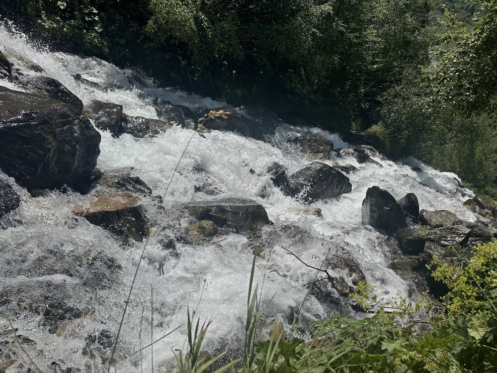 IMG_0870.jpeg
