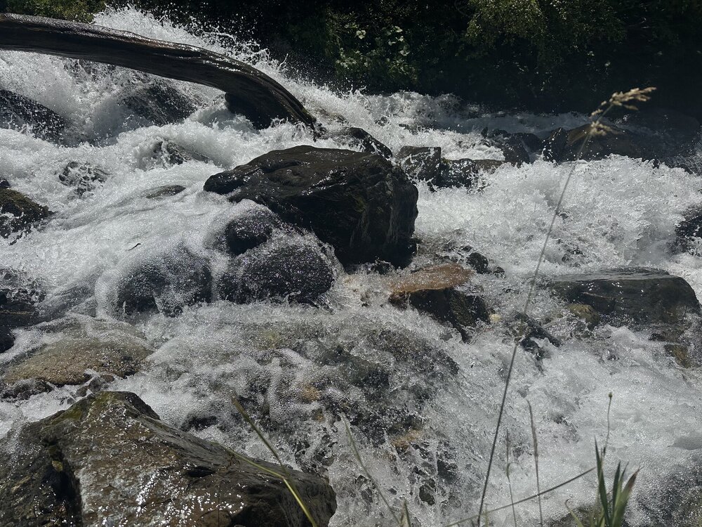 IMG_0871.jpeg