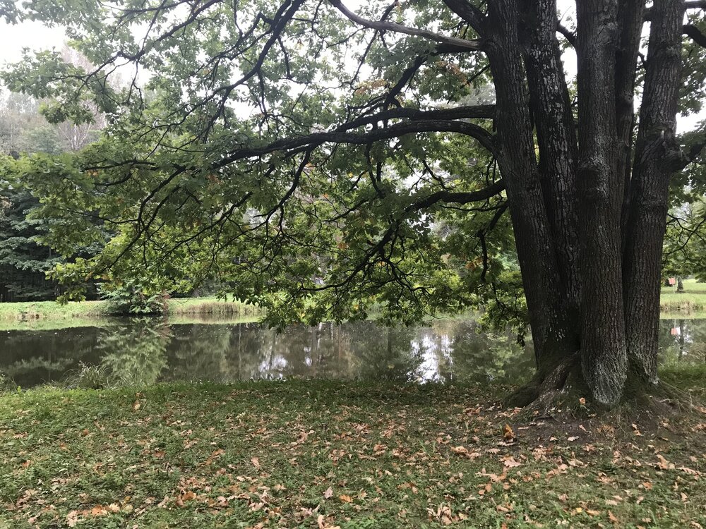 IMG_1487.jpeg