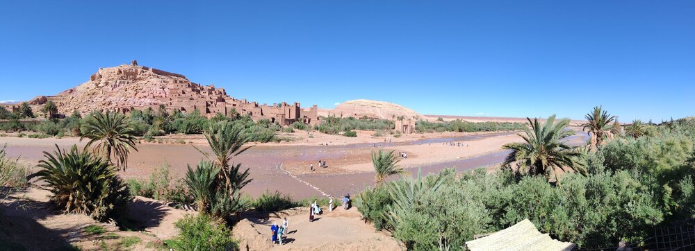 IMG_20250416_163458.jpg