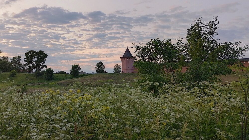 IMG_20250612_202208_HDR.jpg