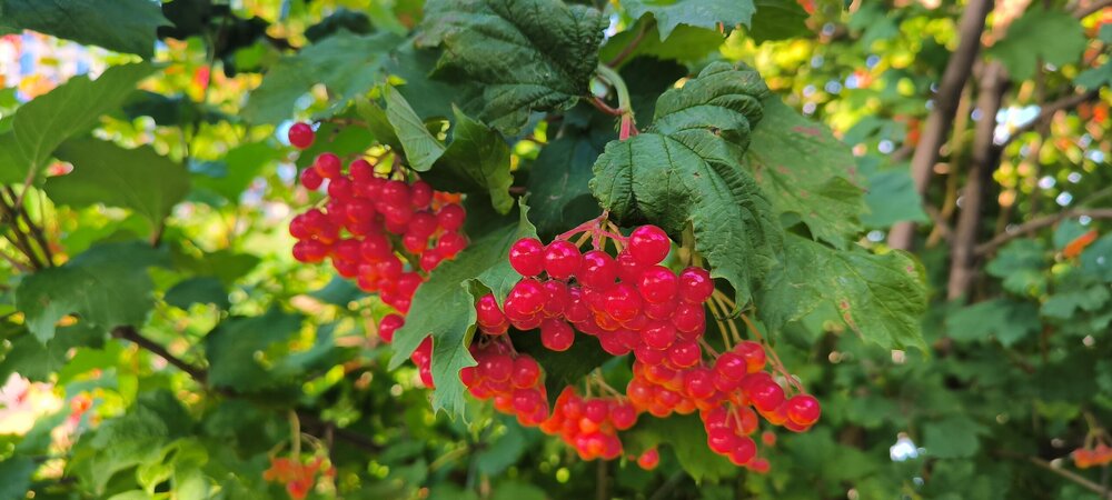 IMG_20250816_173143.jpg