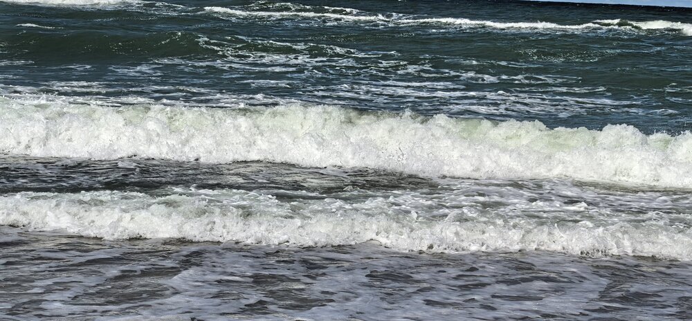 IMG_20250820_113336.jpg