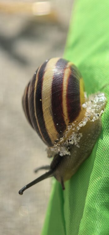 IMG_20250820_114106.jpg