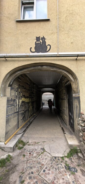 IMG_20250821_183507.jpg