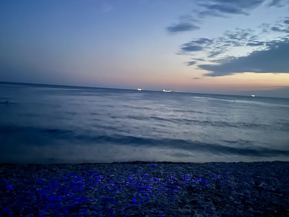 IMG_2149.jpeg