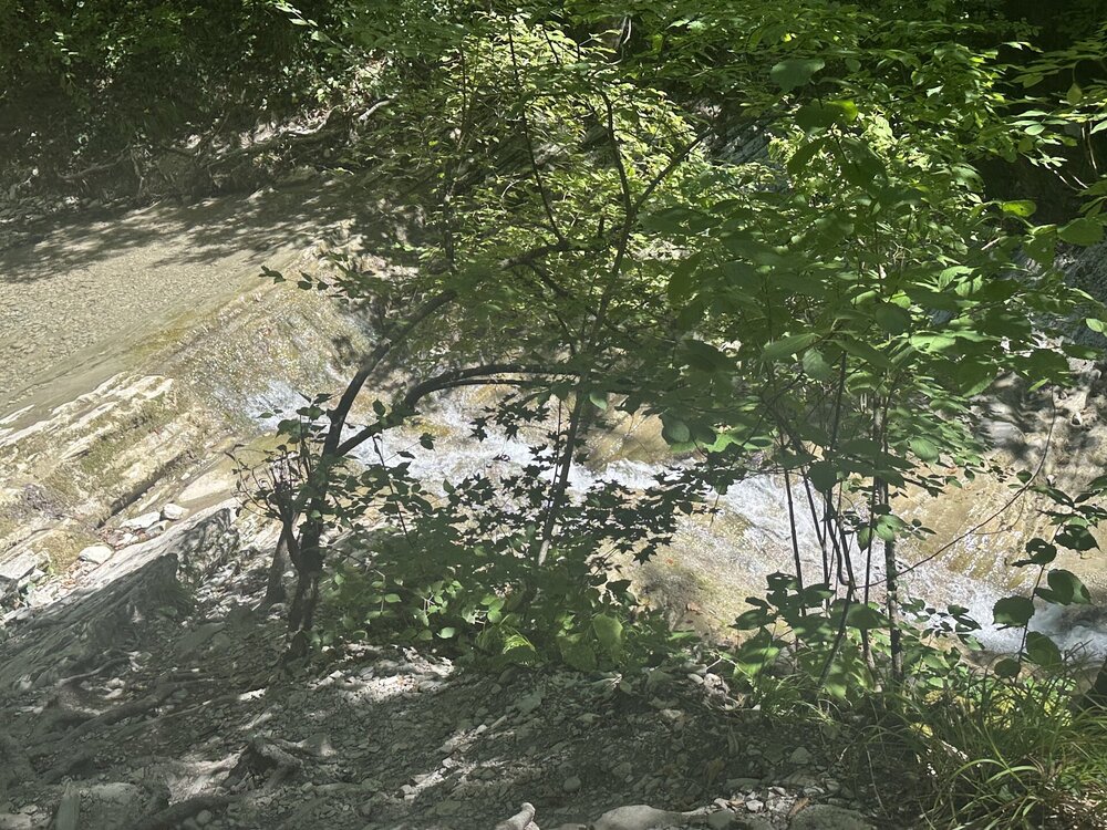 IMG_2163.jpeg