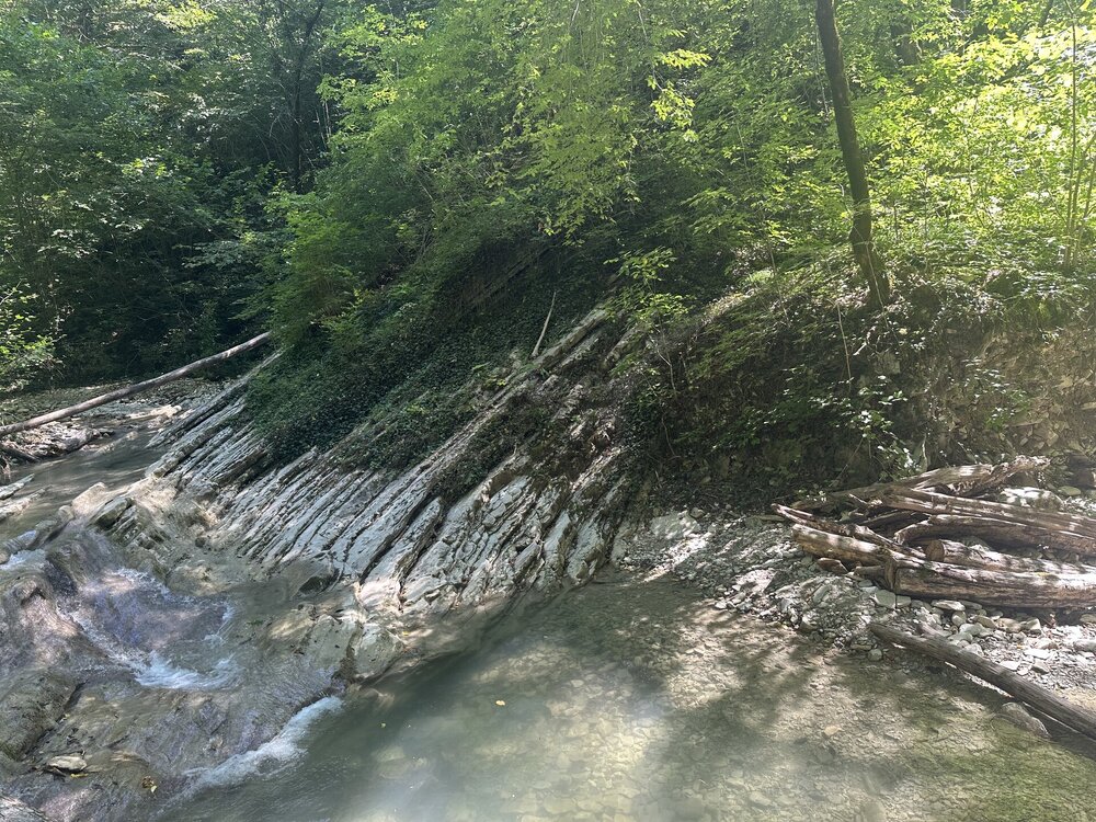 IMG_2166.jpeg