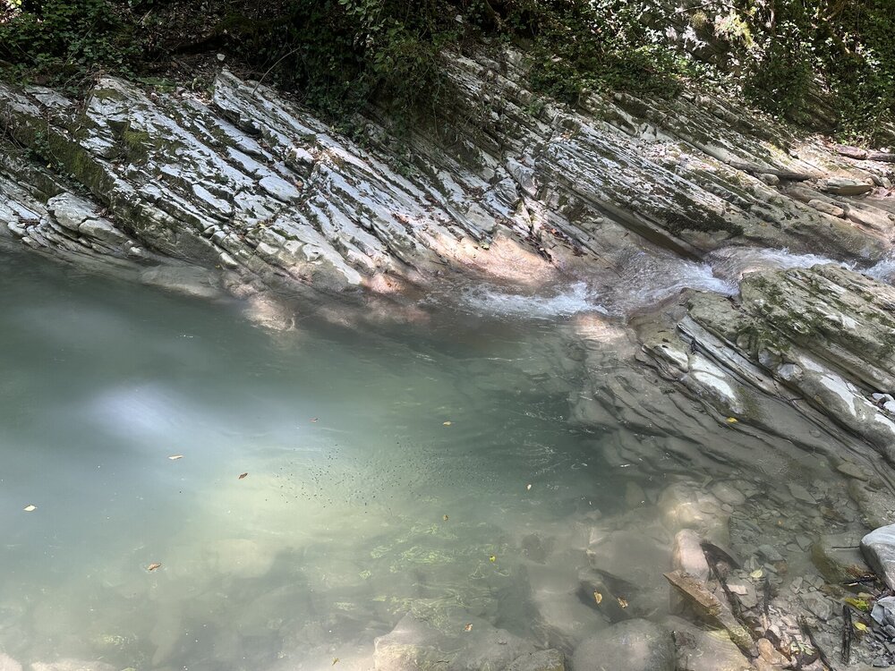 IMG_2170.jpeg