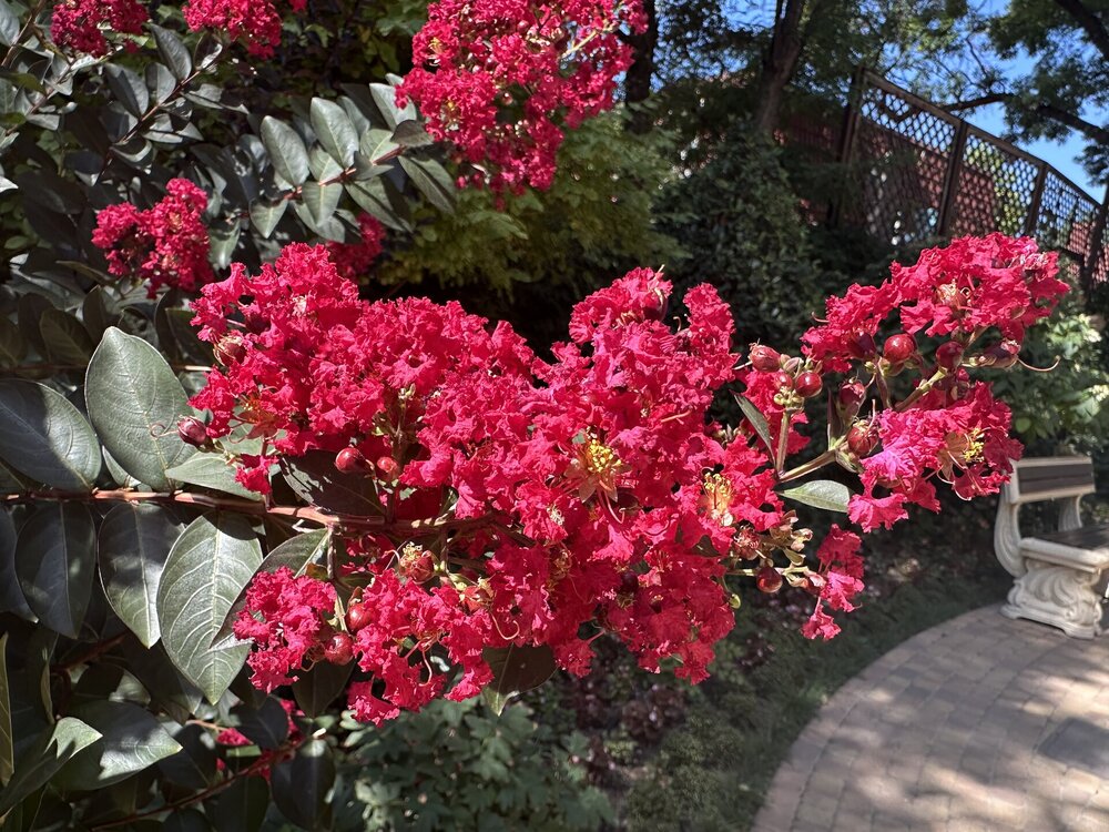 IMG_2314.jpeg