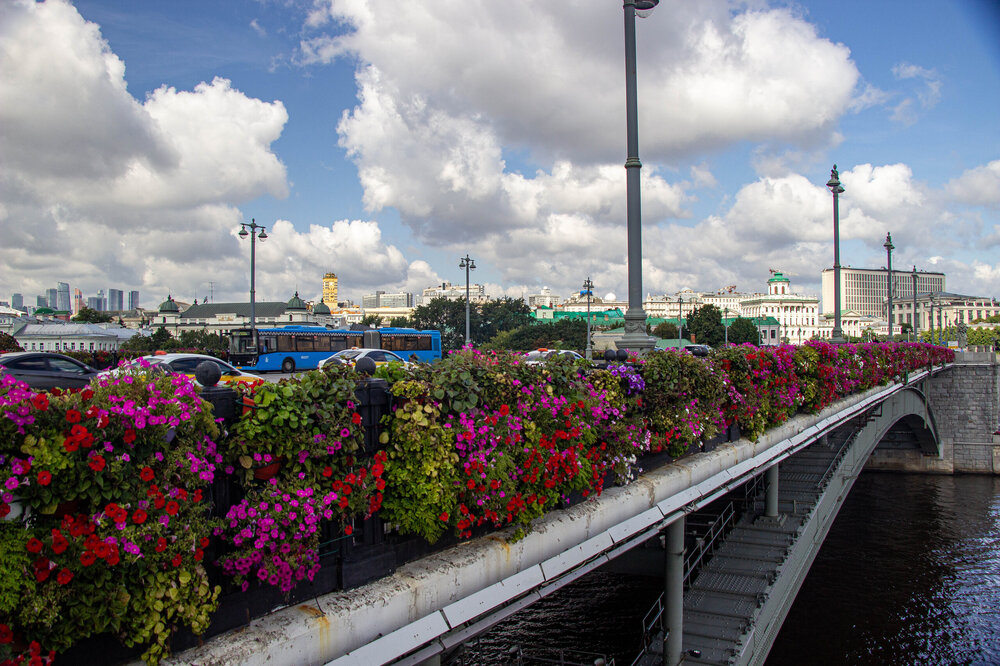 IMG_7841.jpg