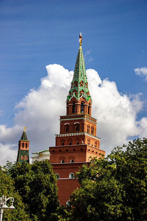 IMG_7853.jpg