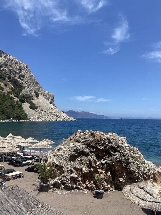 IMG_8104.jpeg