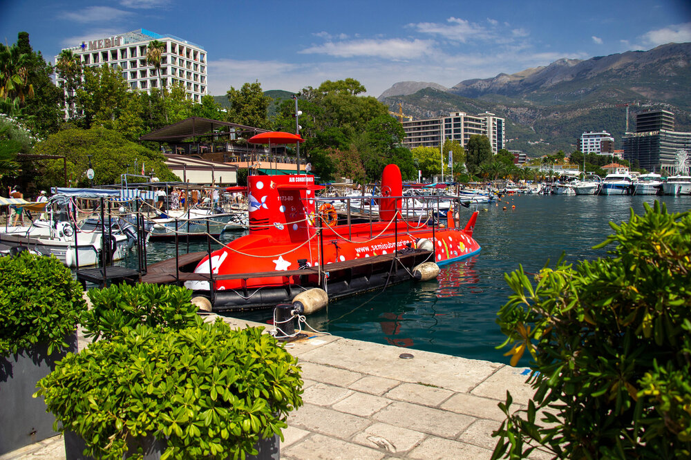 IMG_9085.jpg