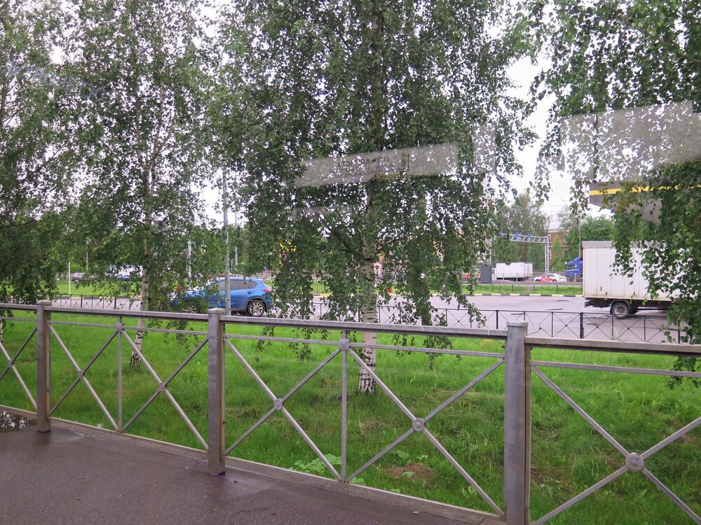 IMG_9610.JPG