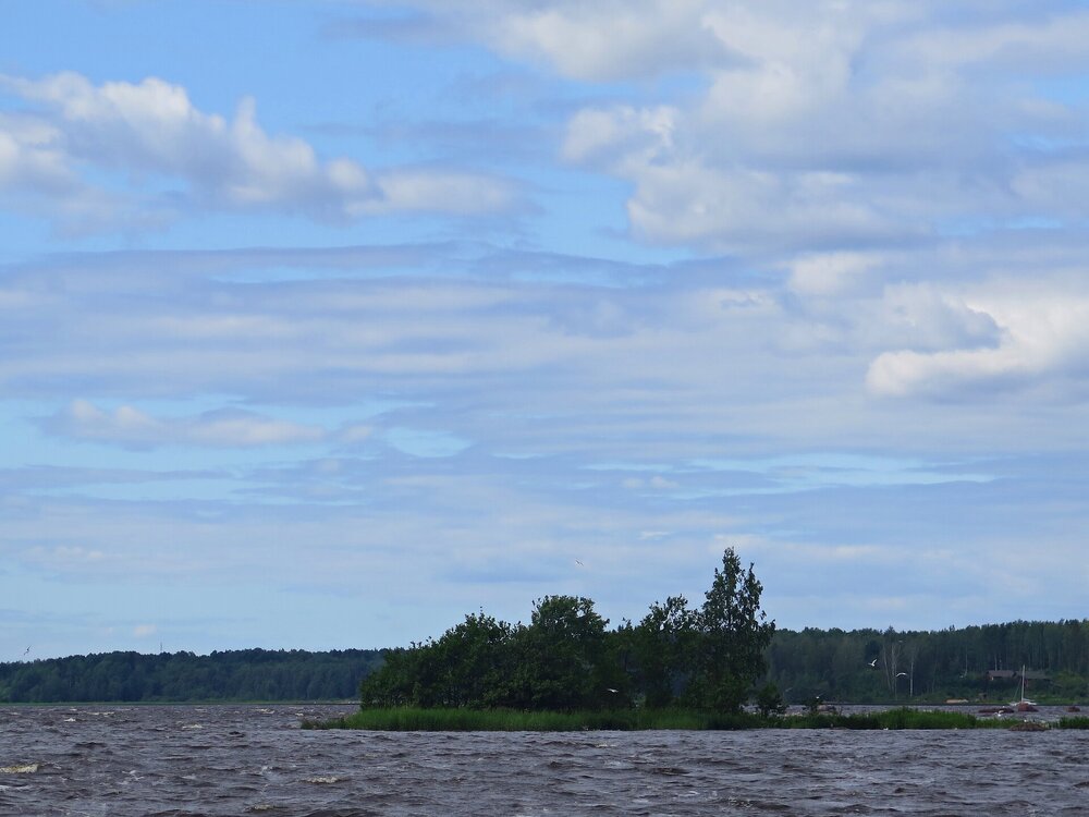 IMG_9835.JPG