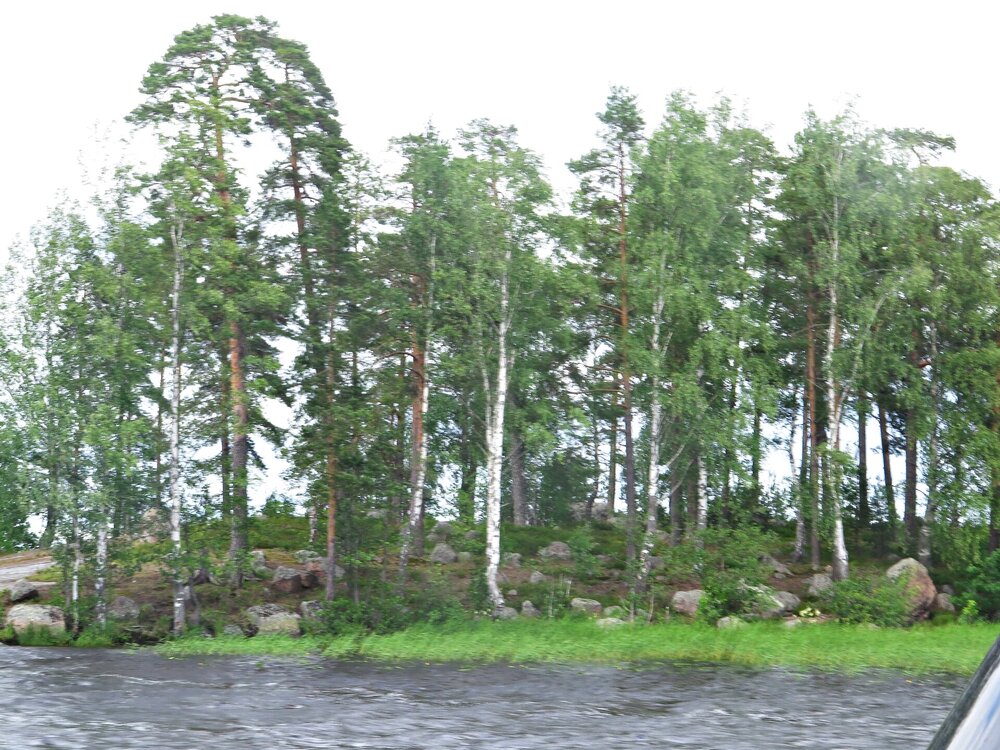 IMG_9864.JPG