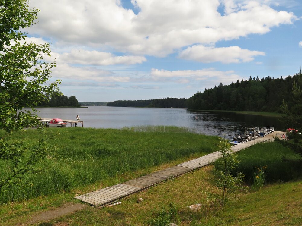 IMG_9947.JPG