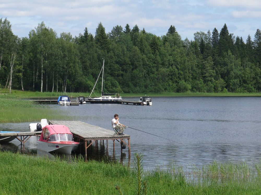 IMG_9950.JPG
