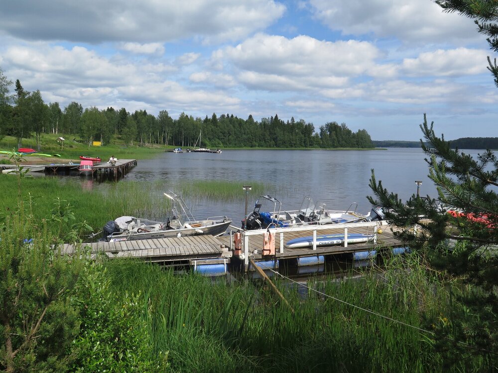 IMG_9951.JPG