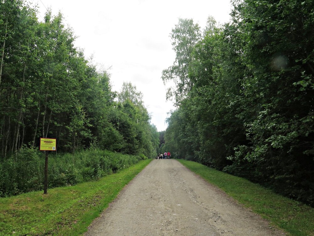 IMG_9960.JPG