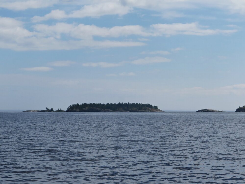 IMG_9968.JPG