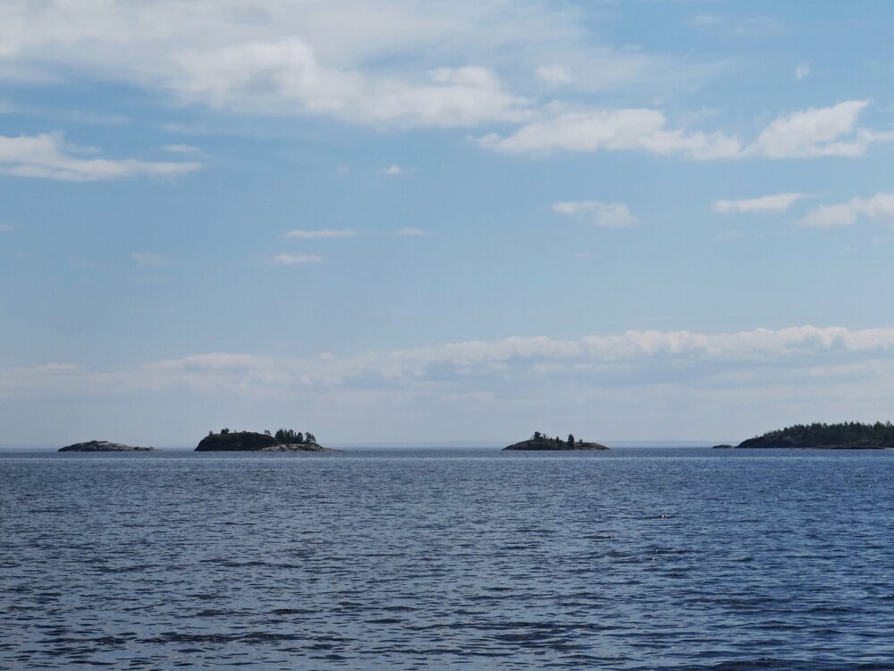 IMG_9969.JPG