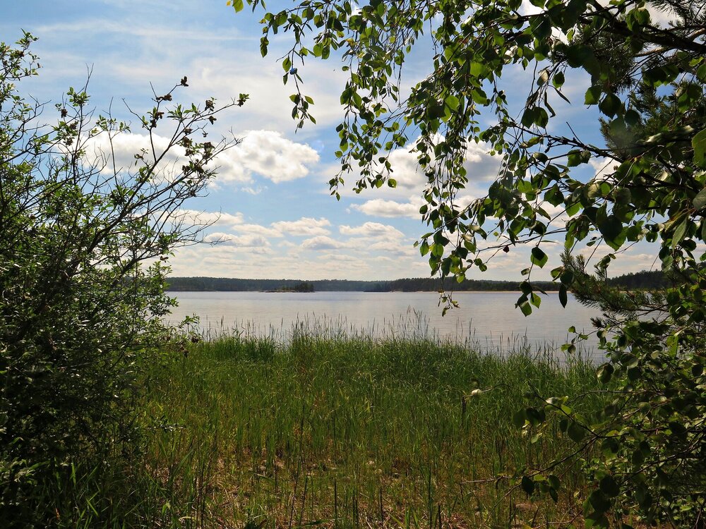 IMG_9989.JPG