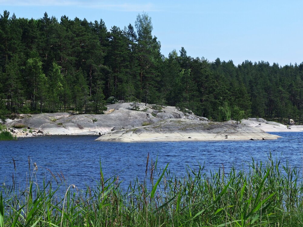 IMG_9991.JPG