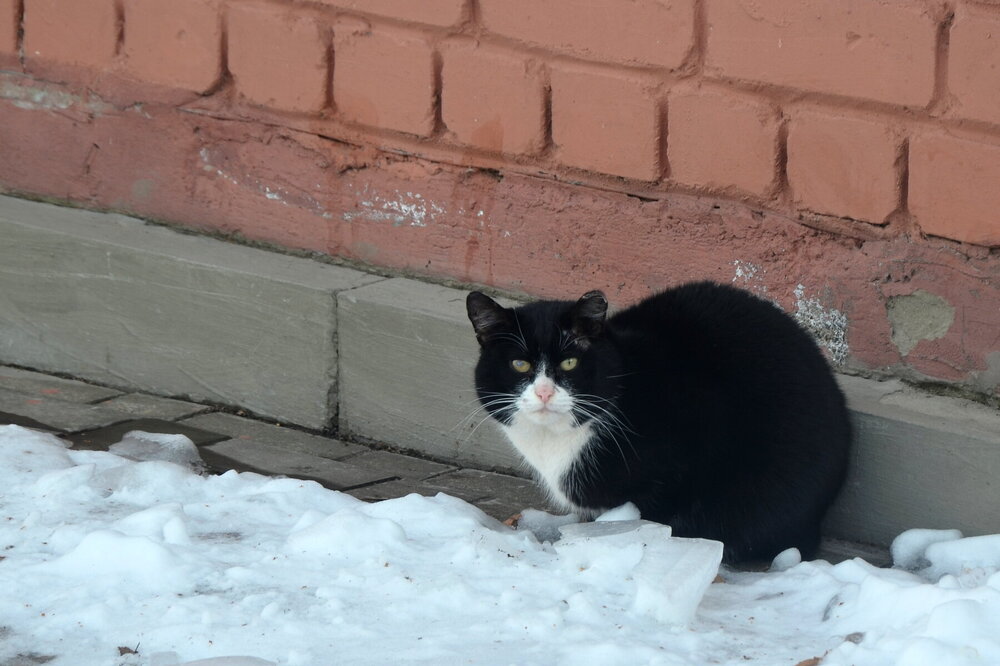 ____DSC_0255.JPG