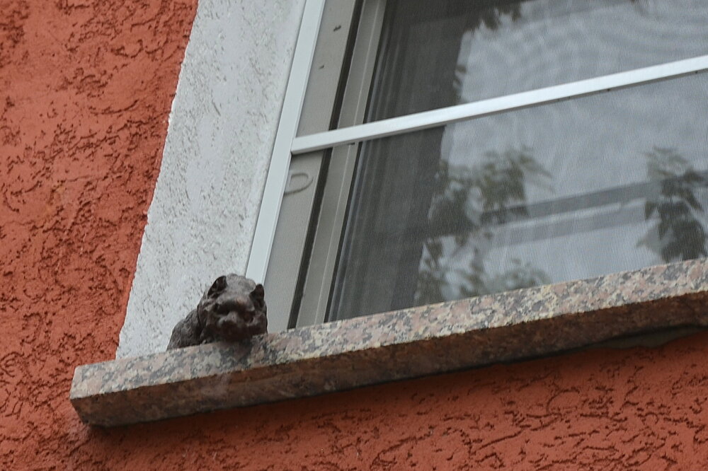 ____DSC_1234.JPG