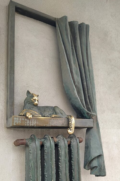 ____IMG_20240509_125047.jpg