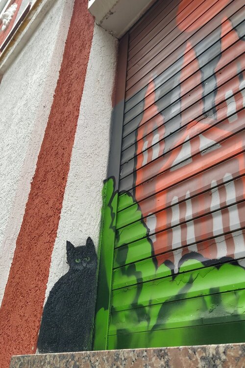 ____IMG_20240509_140551.jpg