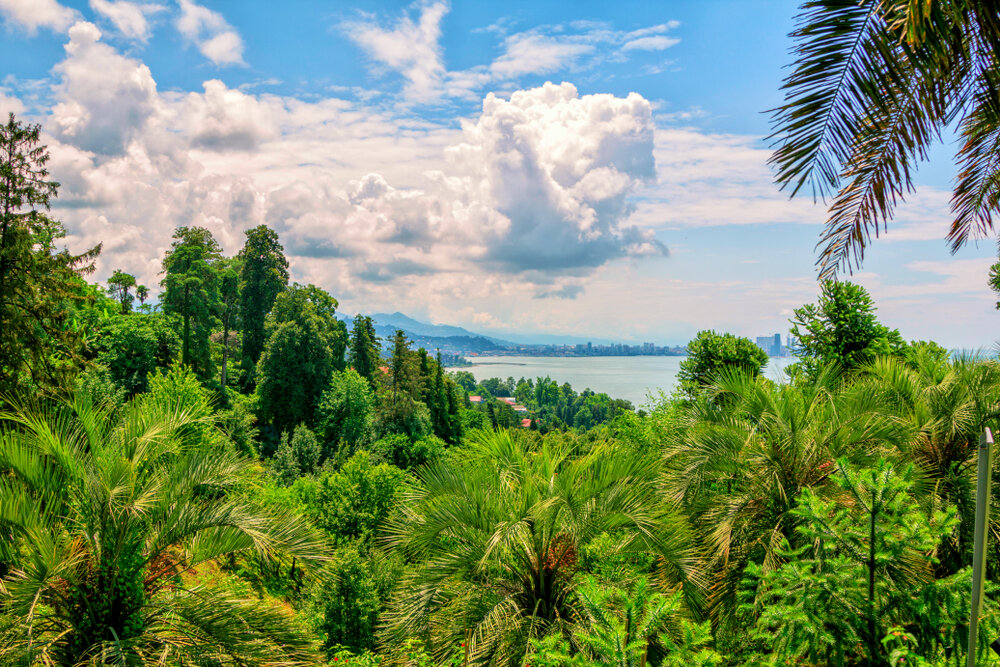 batumi_garden_shutterstock_1475970629.jpg