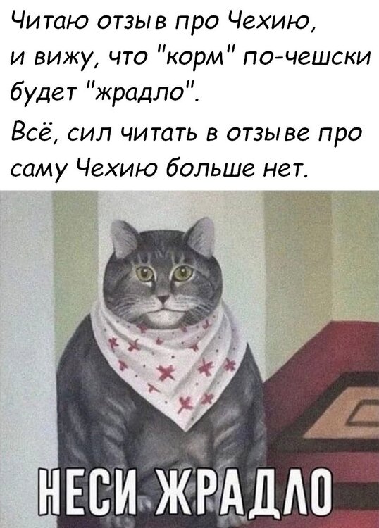 memi-klev-club-cgjz-p-memi-kot-v-fartuke-24.jpg