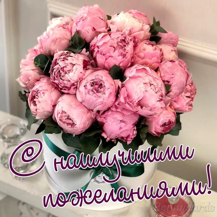 nJ6SFAmqW6KzKi81Qd67Nhi3qyCZqwr1lET1QWUdvwv_vncSlekh5VzOPcKvoUDdsJsqt0LR8TZH9597IqUJQ09F.jpg