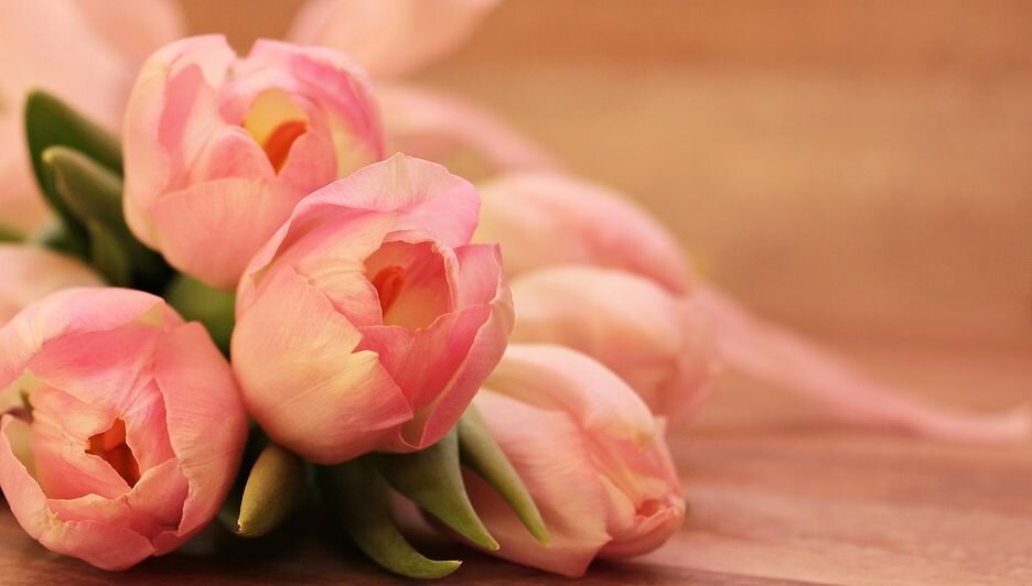 tulips-2068692_960_720-936x532.jpg
