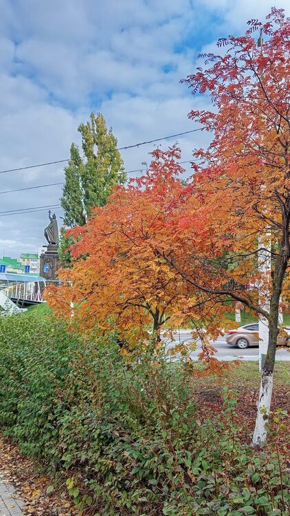 осень03.jpg