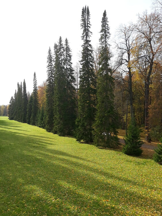 20221008_123809.jpg