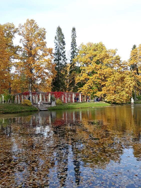 20221008_133542.jpg