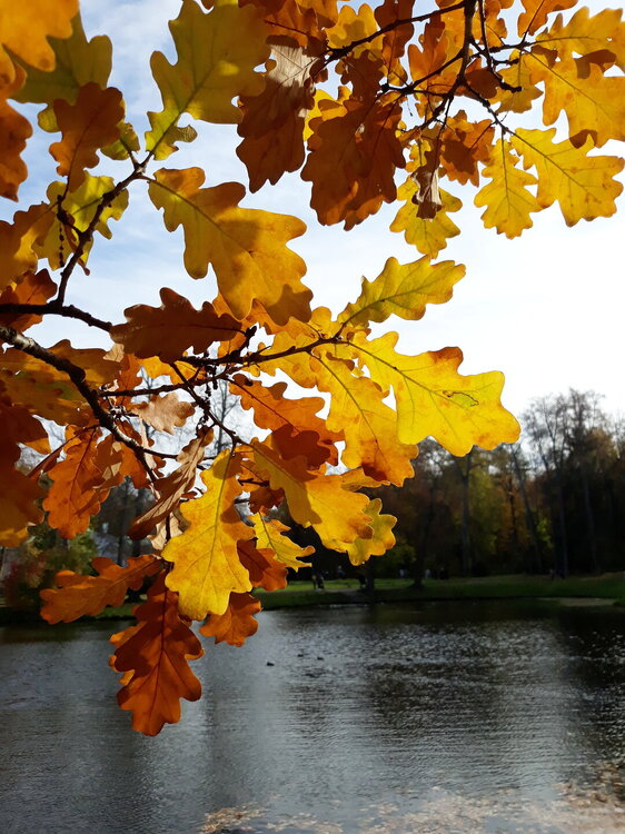 20221008_134803.jpg